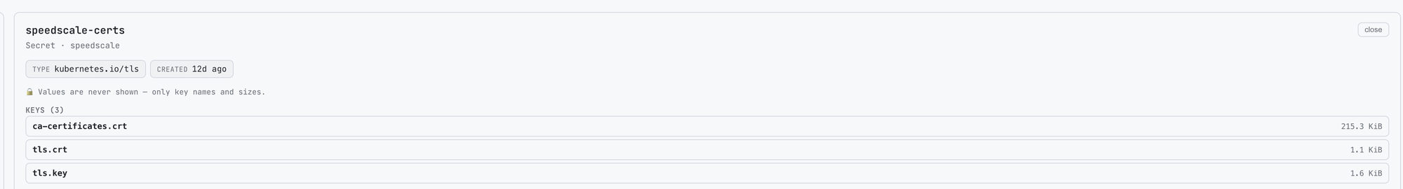 A Secret detail showing its type, the lock note that values are never shown, and the list of key names with their byte sizes — never the values